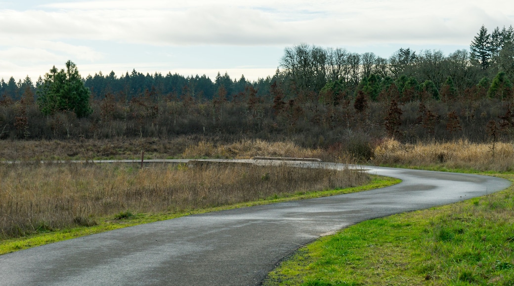 Graham Oaks Nature Park, Wilsonville, Oregon