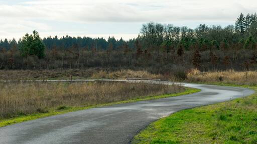 Graham Oaks Nature Park, Wilsonville, Oregon
