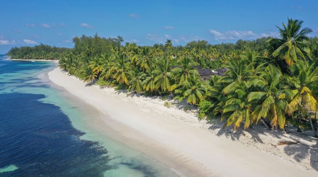 Aerial view of the beach at Desroche Island, Seychelles.