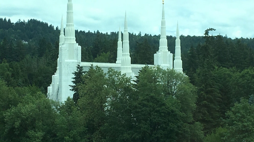 The church of JCLDS temple in Tugard/ Lake Oswego. From this vantage point the building looks almost as if it was simply put there.