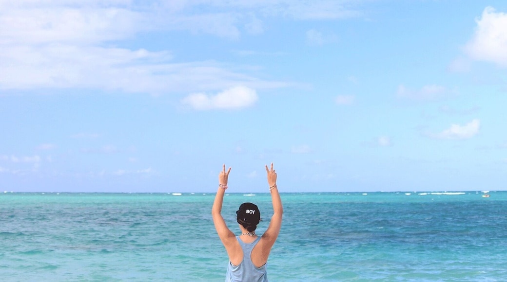 Visiting the most beautiful beach in Oahu.