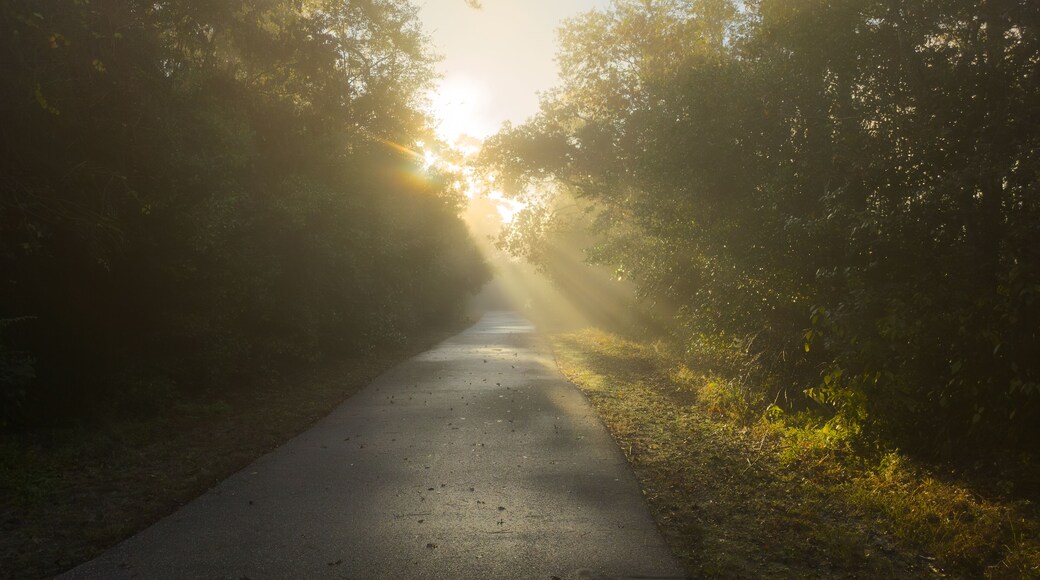 Morning Along the Spring Creek Greenway