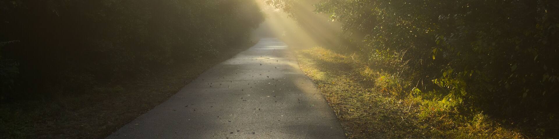 Morning Along the Spring Creek Greenway