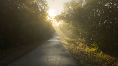 Morning Along the Spring Creek Greenway