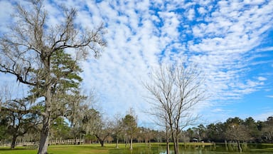 Tomball Burroughs park in Houston Texas