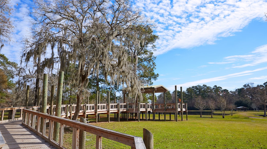 Tomball Burroughs park in Houston Texas