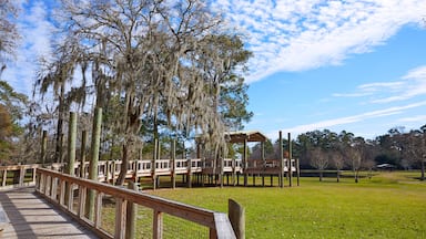 Tomball Burroughs park in Houston Texas