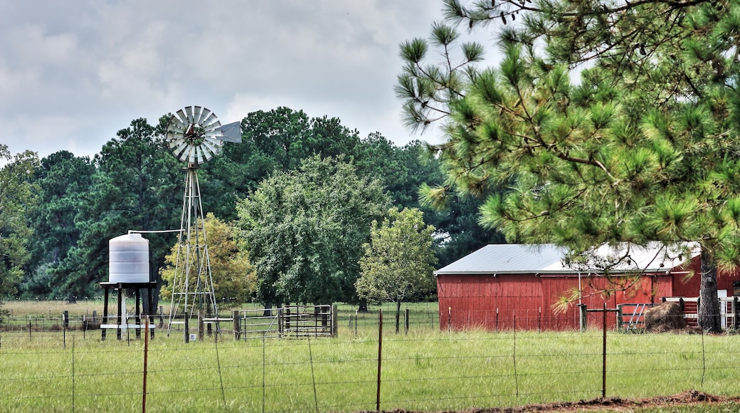 Tomball Red Barn Windmill