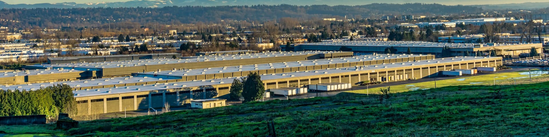 Tukwila And Rainier 4