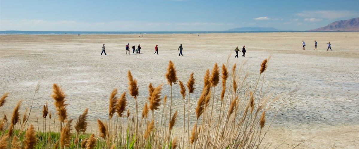 Tooele showing desert views