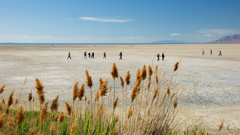 A vast, flat desert landscape with sparse vegetation in the foreground and a clear blue sky.