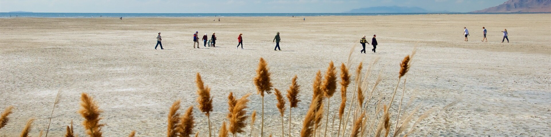 Tooele showing desert views