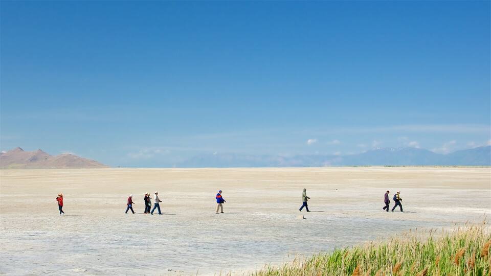 A group of people walking across a vast salt flat with mountains in the background.