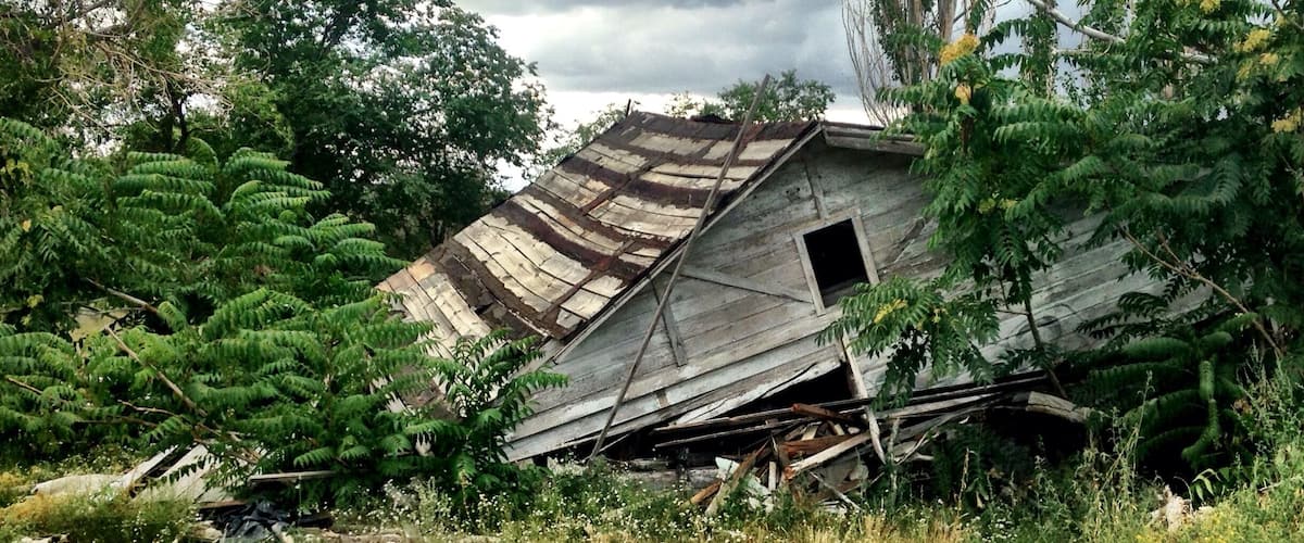 A dilapidated wooden structure surrounded by dense greenery and overcast sky.