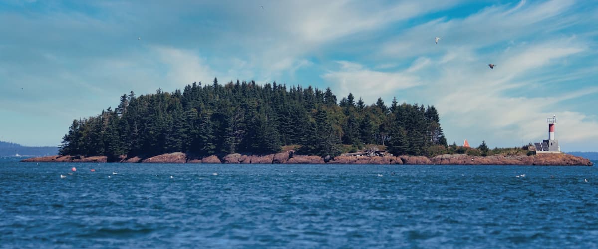 A forested island with a lighthouse in the distance.