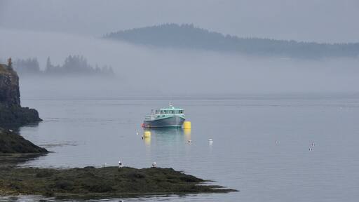 By 1886, the town contained 13 sardine factories, which operated day and night during the season, and produced approximately 5,000 cases per week. About 800 men, women and children worked in the plants. But the industry would decline, and many people moved away. Indeed, the city went bankrupt in 1937. In 1976, the Groundhog Day Gale destroyed many structures along the waterfront.
Eastport, Maine, is the easternmost city in the United States.
