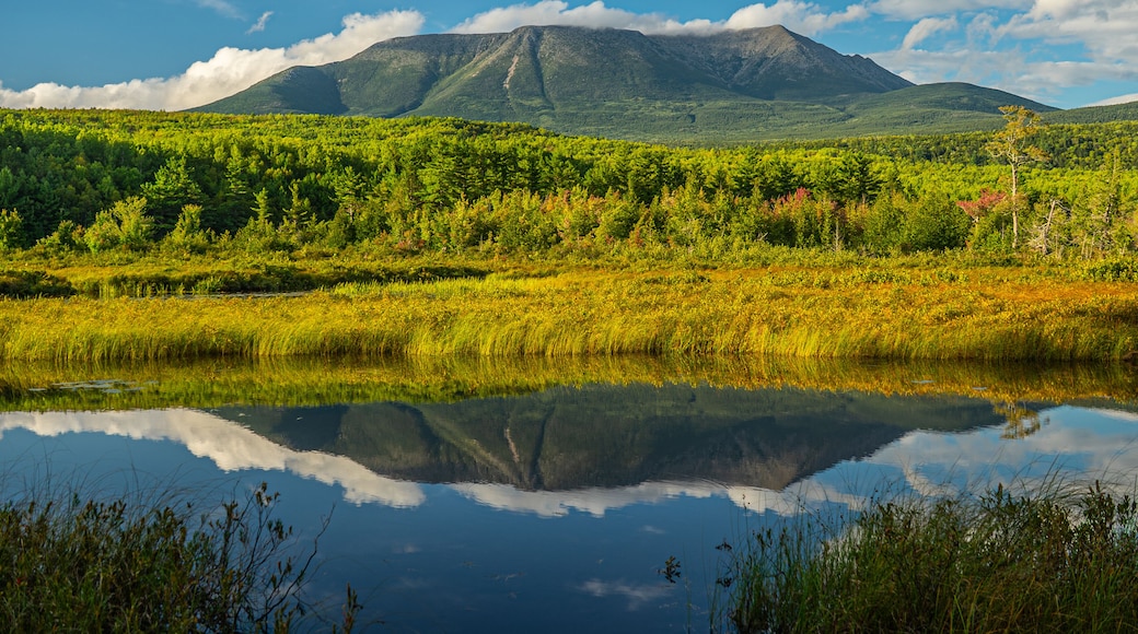 Mount Katahdin reflected in the water of the Abol Stream on a clear summer's day, Millinocket, Maine