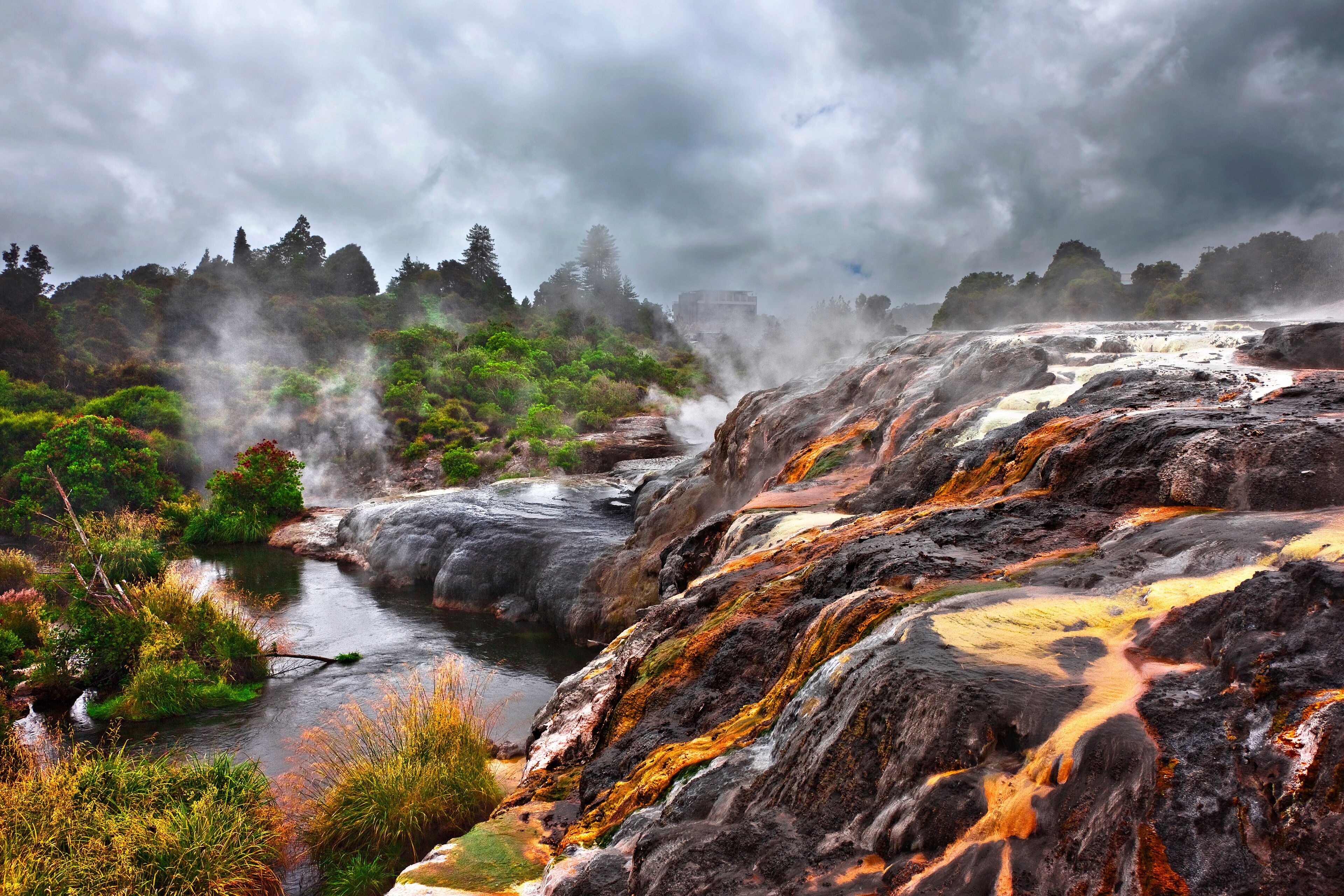 Dramatic geysers of Te Puia, Rotorua Geothermal Park, New Zealand