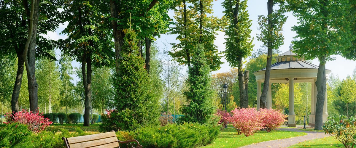 Beautiful park with bench