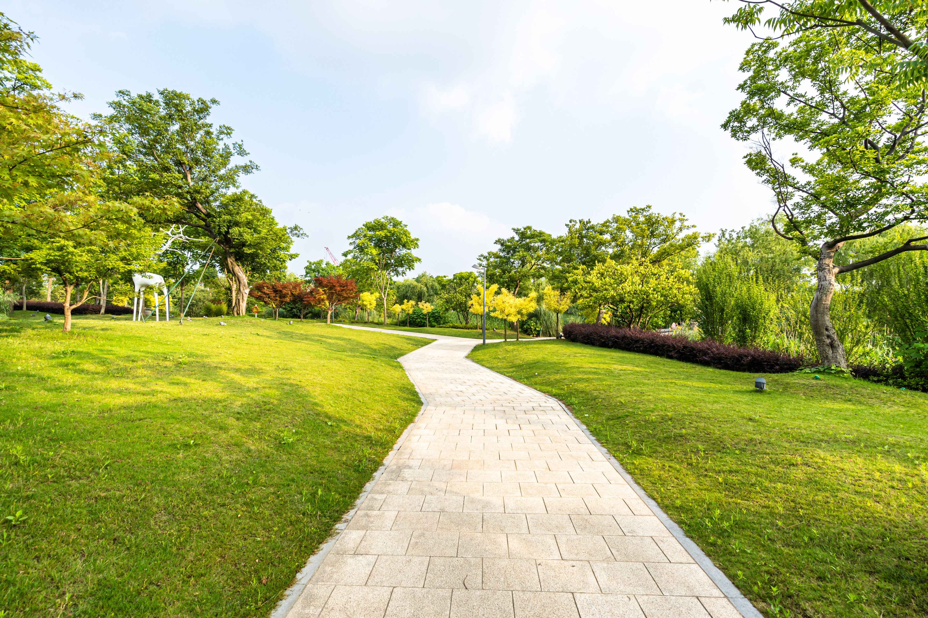 road in park