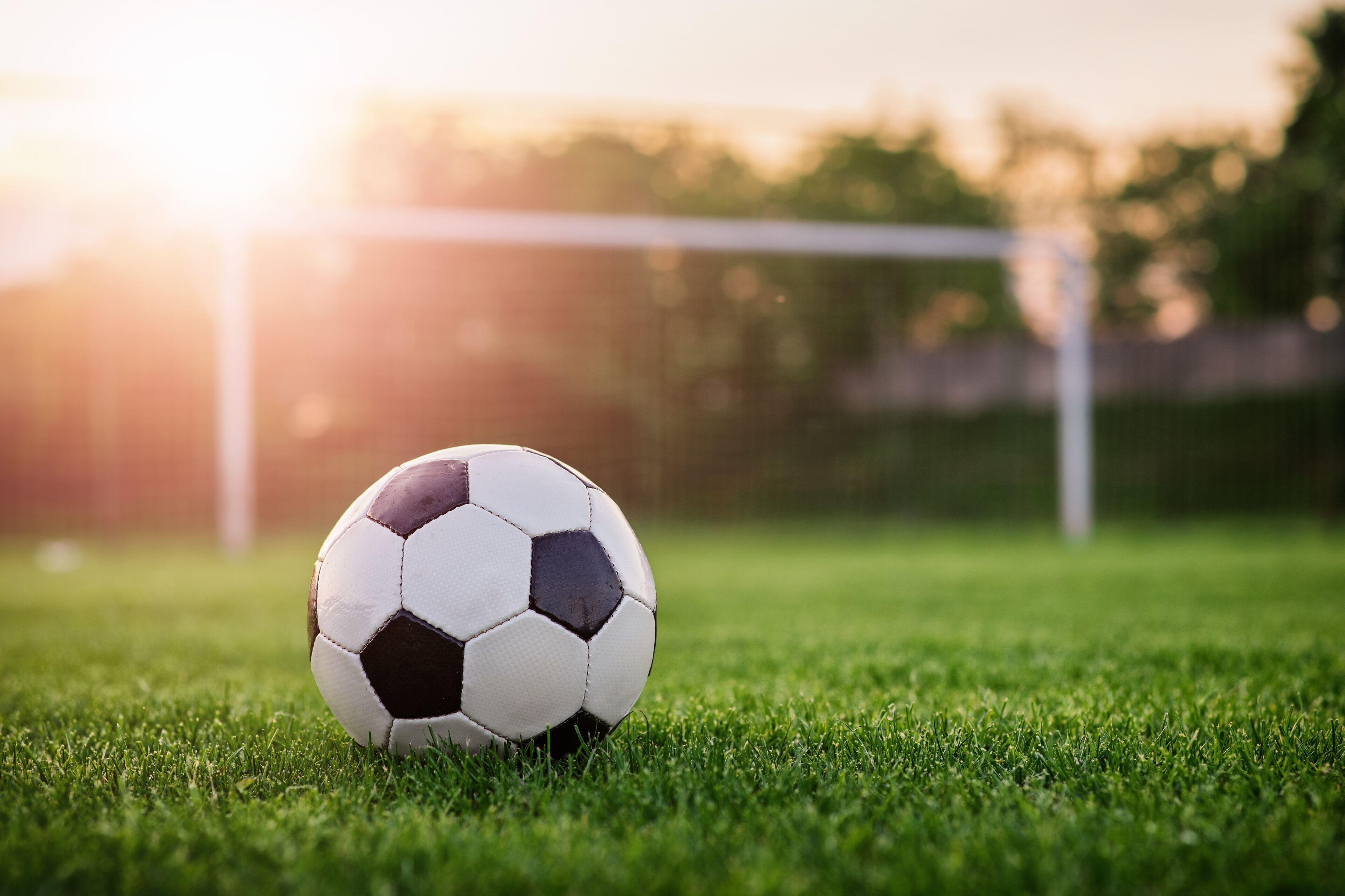 Uma bola de futebol em um campo de grama com um poste de gol ao fundo.