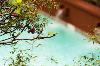Outdoor pool, open 10:00 AM to 3:00 PM, pool loungers