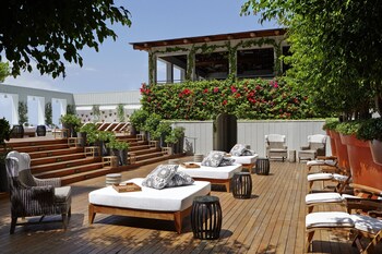 Terras