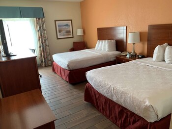 Premium bedding, desk, iron/ironing board, free cots/infant beds
