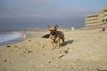 On the beach
