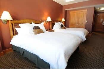 Iron/ironing board, free cribs/infant beds, rollaway beds, free WiFi