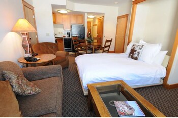 Iron/ironing board, free cribs/infant beds, rollaway beds, free WiFi