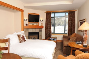 Iron/ironing board, free cribs/infant beds, rollaway beds, free WiFi
