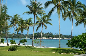 Beach nearby, white sand