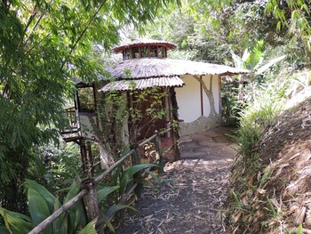 Vistas desde la habitación