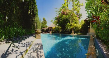 Outdoor pool, open 7:00 AM to 7:00 PM, pool umbrellas, pool loungers