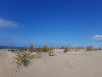 On the beach, white sand, beach yoga, beach volleyball