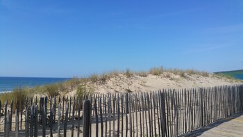 On the beach, white sand, beach yoga, beach volleyball